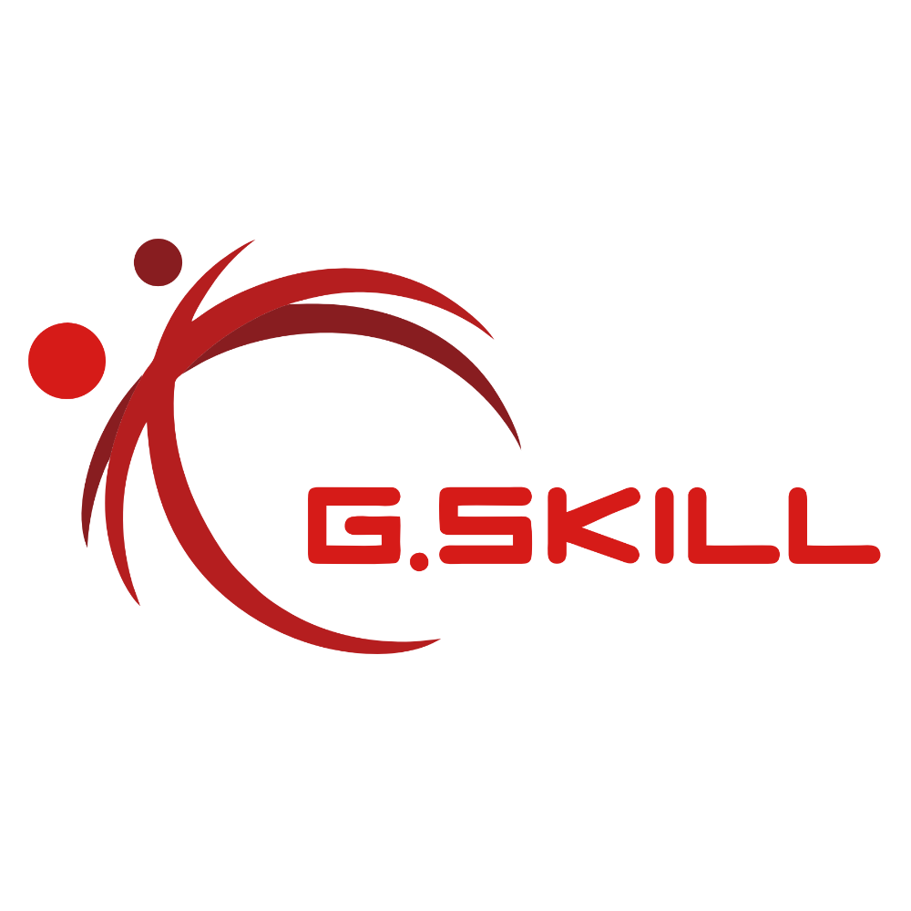 GSkill Logo